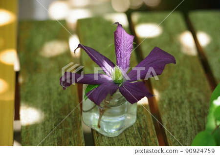 Let's break coffee while watching clematis outside Let's break coffee while watching clematis outside 90924759