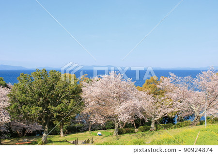 春天的海濱公園 春天的海濱公園 90924874
