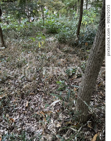 Nishihara Town, Nishitokyo City 90925035