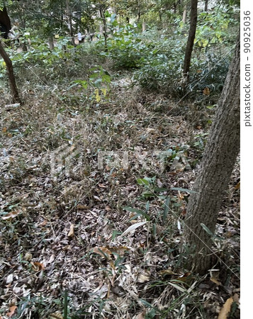 Nishihara Town, Nishitokyo City 90925036