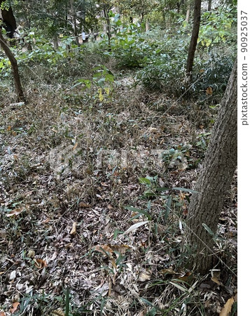 Nishihara Town, Nishitokyo City 90925037