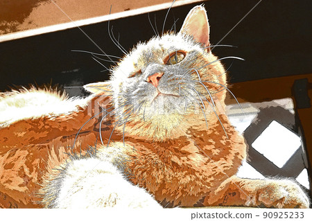 Healing Healing Cat by the window 它安靜的日子 Healing Healing Cat by the window 它安靜的日子 90925233
