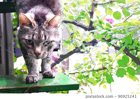 Healing Healing Cat by the window Its quiet days 90925241