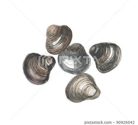 5 clams 5 clams 90926042