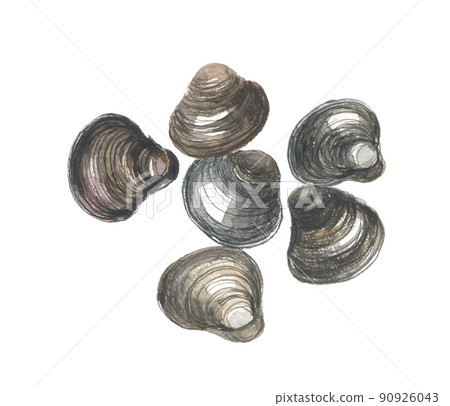 6 clams 90926043