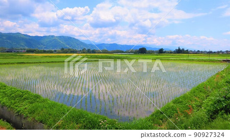 Shinano's early summer rural landscape Shinano's early summer rural landscape 90927324