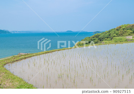 裝滿水的多亞梯田 90927515