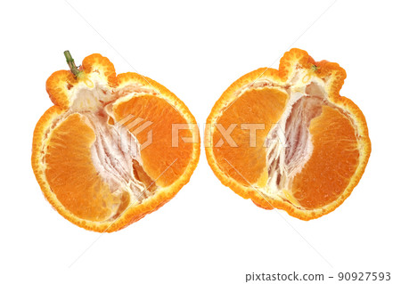 凸頂柑 凸頂柑 90927593