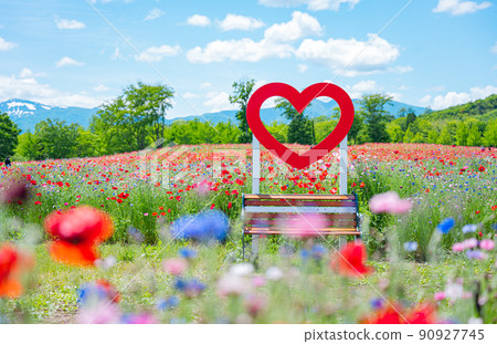 Heart monument Michinoku Lakeside Park in Kawasaki Town, Miyagi Prefecture Poppy flowers are in full bloom in June Heart monument Michinoku Lakeside Park in Kawasaki Town, Miyagi Prefecture Poppy flowers are in full bloom in June 90927745