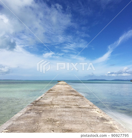The way to the sea The way to the sea 90927795
