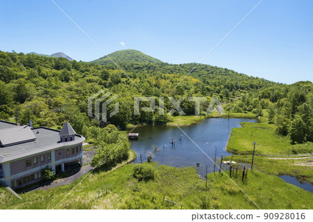 Aerial view of Toya Nishiyama foot crater (Nishiyama swamp) 90928016