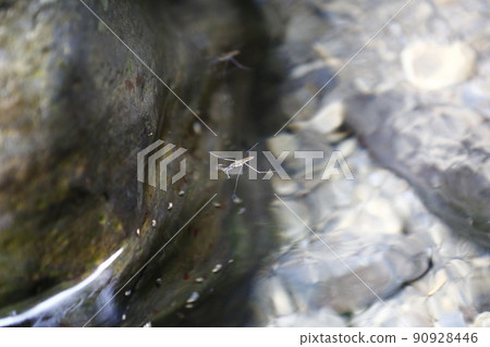 拉拉山 90928446