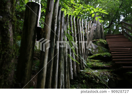 Lala Mountain Lala Mountain 90928727