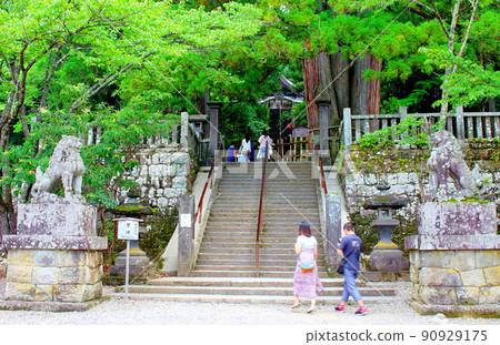戶隱神社：古代神社和寺廟 信州神社和寺廟 90929175