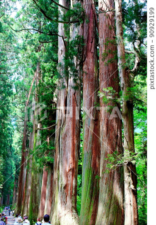 Togakushi Shrine: Ancient shrines and temples Shinshu shrines and temples 90929199