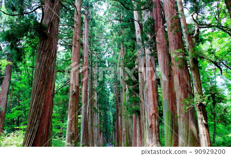 Togakushi Shrine: Ancient shrines and temples Shinshu shrines and temples 90929200