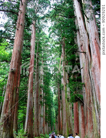 Togakushi Shrine: Ancient shrines and temples Shinshu shrines and temples 90929201