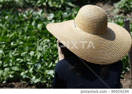 straw hat girl straw hat girl 90929284