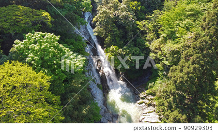 Drone shooting of Kannon Falls (Karatsu City, Saga Prefecture) 90929303