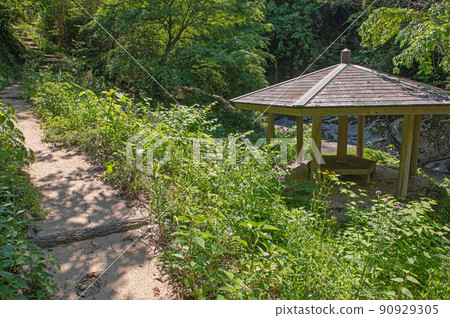 Kannon Falls Promenade 90929305