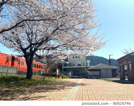 Yoshino cherry tree and train 90929746