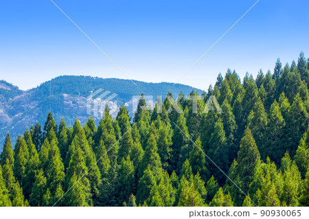 Sugiyama ridgeline and blue sky 90930065