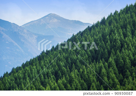 杉山山脊線和藍天 杉山山脊線和藍天 90930087