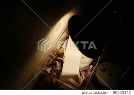 玄鳳幼鳥 90930547