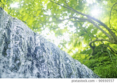 Fresh green, clear stream, eco-image (Oyama Kitanizawa mountain stream) 90930557