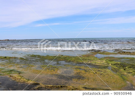 The world of small creatures spreads in the tide pool The world of small creatures spreads in the tide pool 90930946