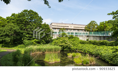 神奈川縣橫濱市綠區色之森公園的初夏 90933825