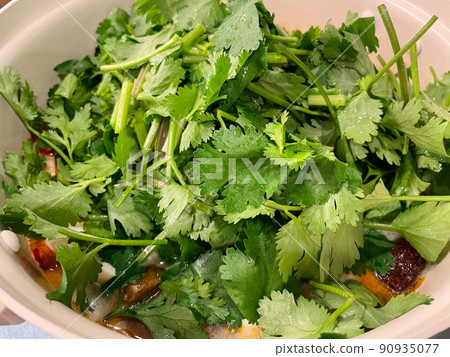 香菜火鍋 香菜火鍋 90935077