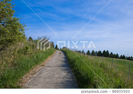 萬年山登山、吉武台牧場附近的登山道 萬年山登山、吉武台牧場附近的登山道 90935503
