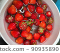 Strawberry harvest 90935890