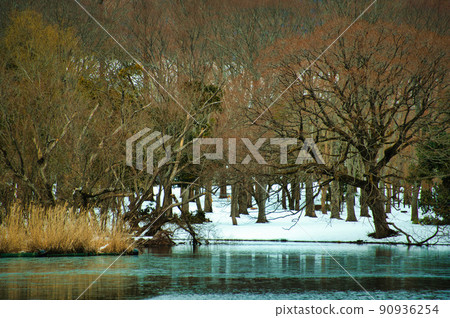Snow scene of Mishima Pond and Mt. Ibuki, Shiga Prefecture, February 2022 Snow scene of Mishima Pond and Mt. Ibuki, Shiga Prefecture, February 2022 90936254