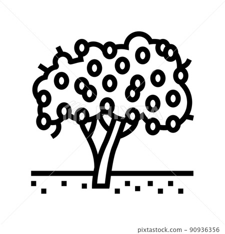 tree plant lemon line icon vector illustration tree plant lemon line icon vector illustration 90936356