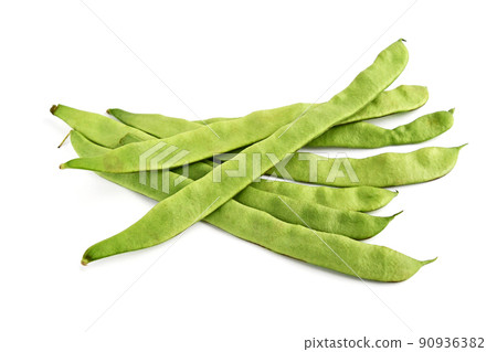 摩洛哥四季豆 90936382