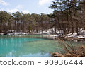Scenery of Aonuma in Goshikinuma in spring 90936444