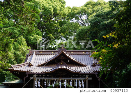 Scenery of Yoyogi Hachimangu in Shibuya-ku, Tokyo 90937113