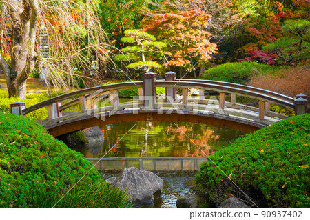 Hiratsuka General Park Autumn leaves in Japanese garden Hiratsuka General Park Autumn leaves in Japanese garden 90937402