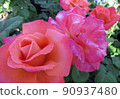 Art flower background . 90937480