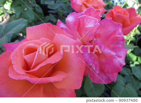 Art flower background . 90937480