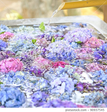 花水 花水 90937545