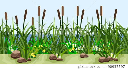 Reeds in grass and flowers, pond, lake or... - Stock Illustration ...