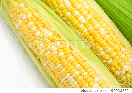 Corn (Mille-feuille) 90938281