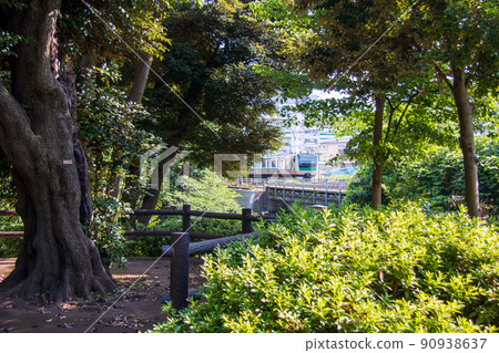 板橋東Ikoi no Mori Saikyo Line 90938637