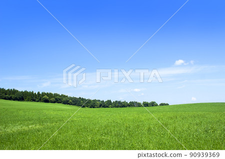 Blue sky and meadow trees Blue sky and meadow trees 90939369