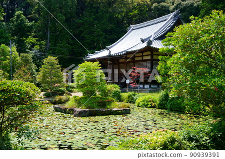 Kyoto / Yamashiro / Kannonji 90939391