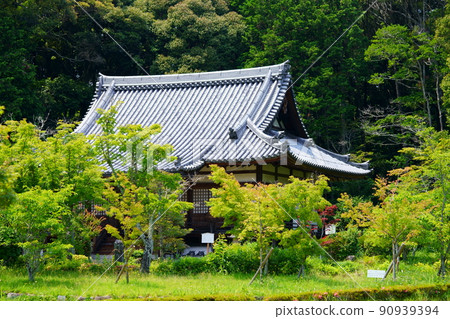 京都/山城/觀音寺 90939394