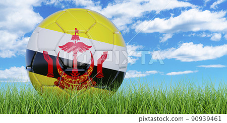 Soccer ball with Bruneian flag on the green grass against blue sky, 3D rendering 90939461